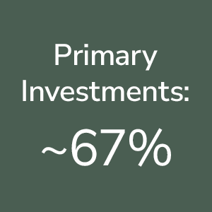 Stuyvesant Primary Investments