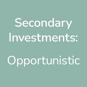 Stuyvesant Secondary Investments